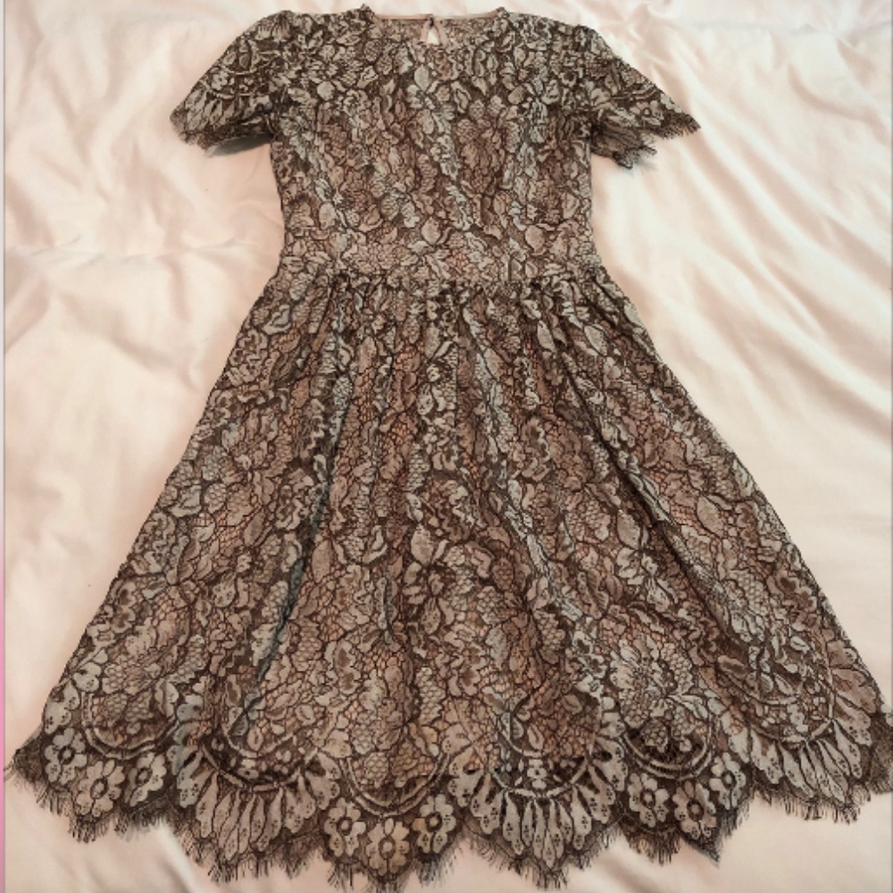 Eliza J Fit & Flare Lace Dress, Size 2